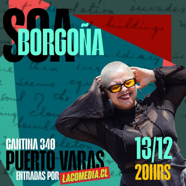 Soa Borgoña en Puerto Varas 13.12